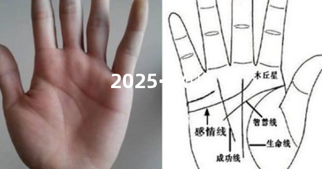 2025·  Ķڸö